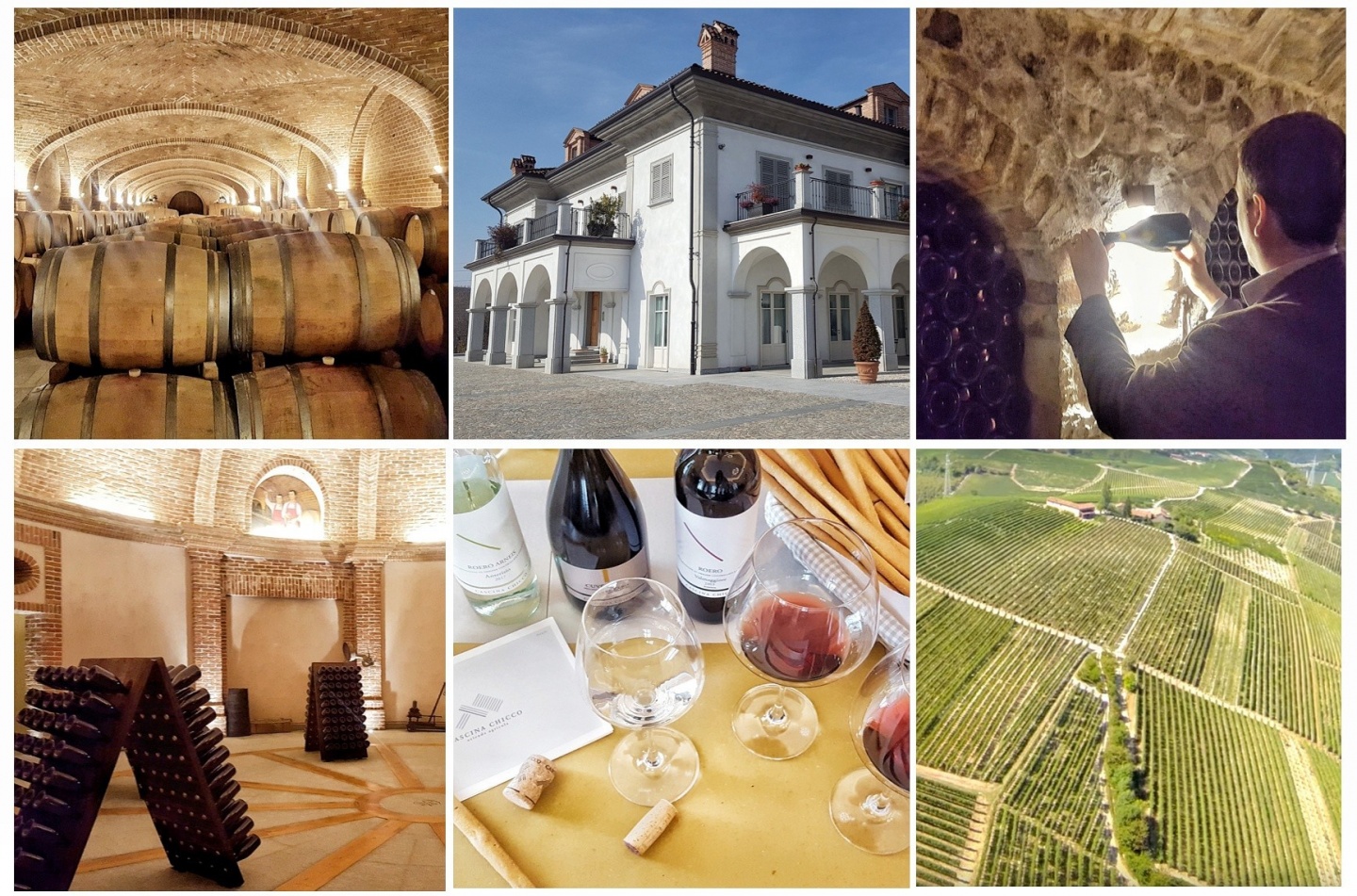 北イタリアのワイナリー巡り|「Cascina Chicco」カッシーナ・キッコ
